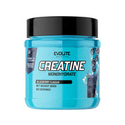 Evolite Nutrition Creatine Monohydrate 300 g