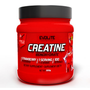 Evolite Nutrition Creatine Monohydrate 500 g