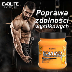 Evolite BCAA 2:1:1 400 g