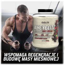 Evolite Nutrition WheyElite Double Chocolate Flavours 2000 g