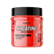 Evolite Nutrition Creatine Monohydrate 300 g