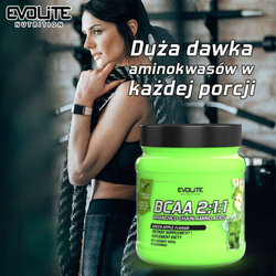 Evolite BCAA 2:1:1 400 g 