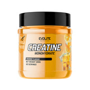 Evolite Nutrition Creatine Monohydrate 300 g
