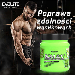 Evolite BCAA 2:1:1 400 g 